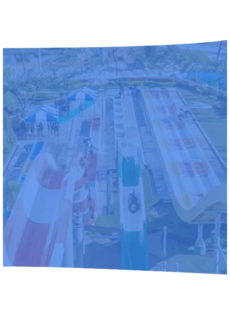 Consulting and Management Services