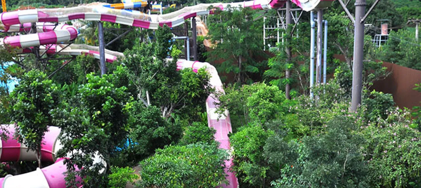 Water Dragon Slide
